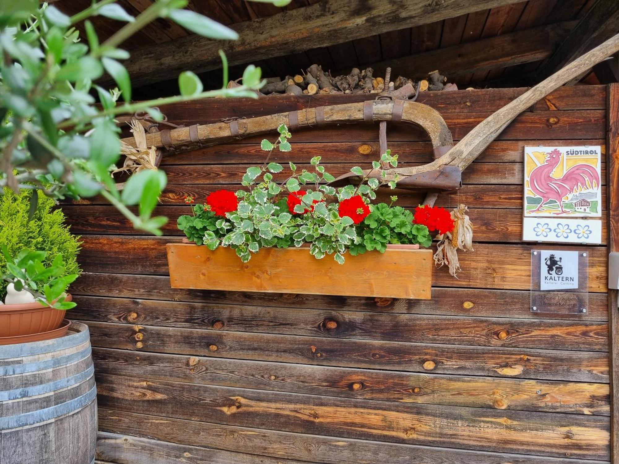 Urlaub Auf Dem Bauernhof Schmidhof - Grosse Terrasse, Pool Und Beste Lage Caldaro Luaran gambar